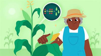 Creating New Types of Plants—The Art of Plant Breeding